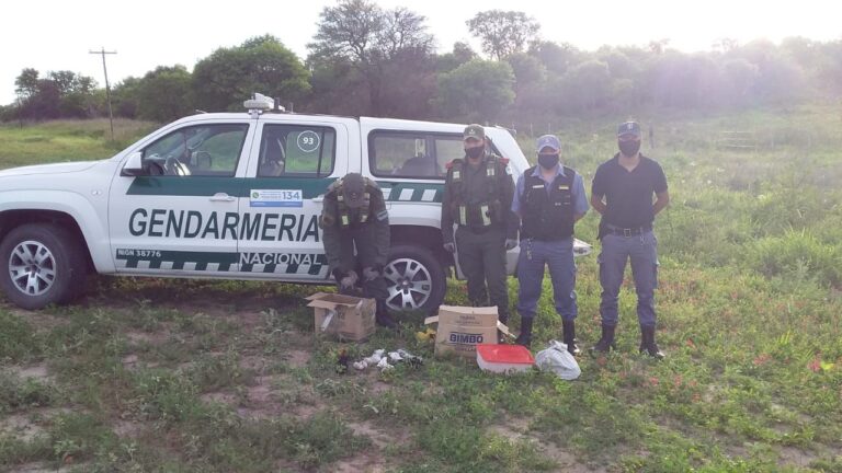 LA BRIGADA OPERATIVA AMBIENTAL RESCATÓ ANIMALES