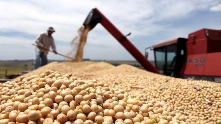 El precio de la soja saltó US$ 8 por un inesperado recorte