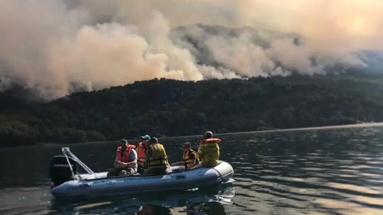 Incendios forestales: Declaran la emergencia ígnea en todo el país