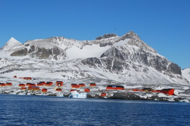 Covid-19 en la Antártida: Ómicron se propagó en la Base Esperanza