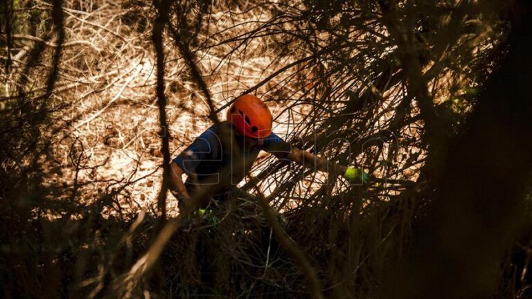 Ambiente-Incendios forestales: declaran la emergencia ígnea