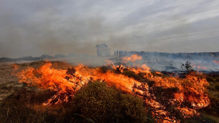 Envían medios aéreos a zonas de incendios, piden no hacer