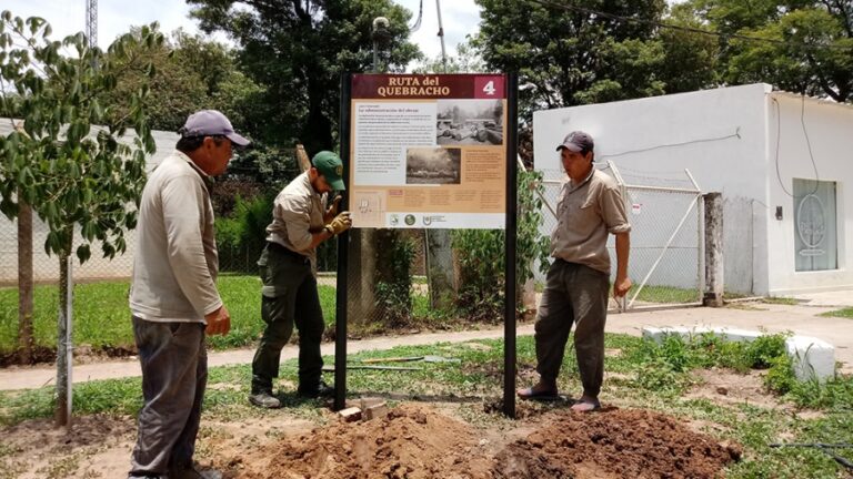 «La ruta del quebracho», la iniciativa que sintetiza historia