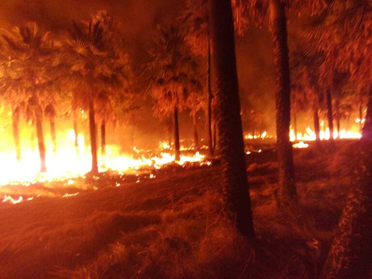 Calor y sequía: Los bomberos lograron controlar