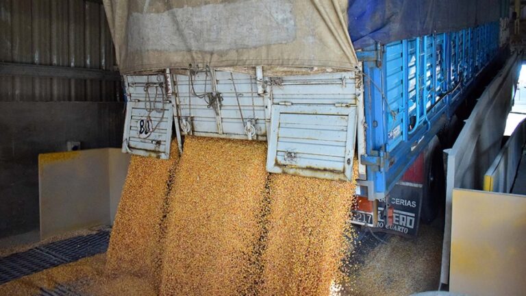 Cereales y oleaginosas: Agroexportadores liquidaron el récord