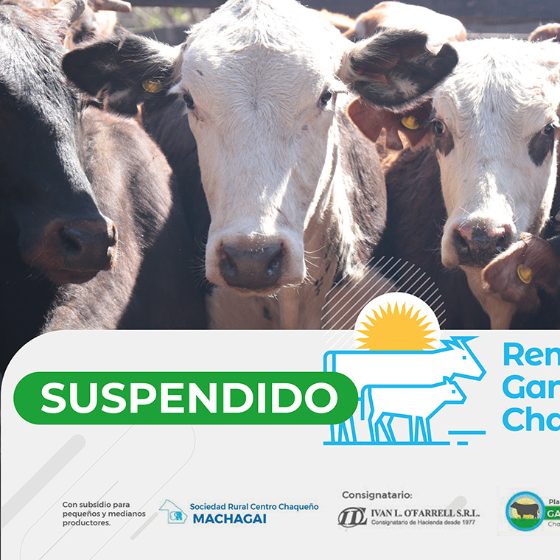 PRODUCCIÓN INFORMA QUE SE SUSPENDIÓ