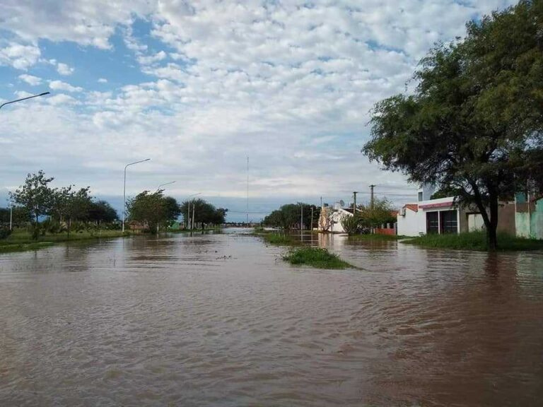 Registros en casi todo el territorio chaqueño