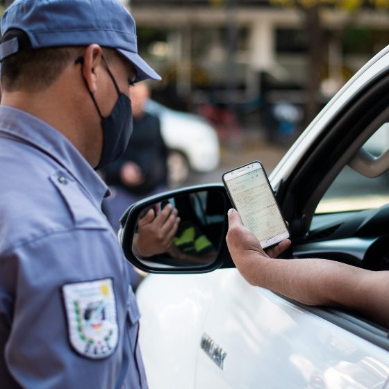 SEGURIDAD VIAL