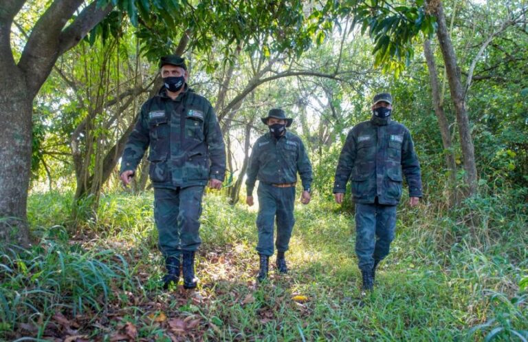 LA BRIGADA OPERATIVA AMBIENTAL RESCATÓ ESPECIES