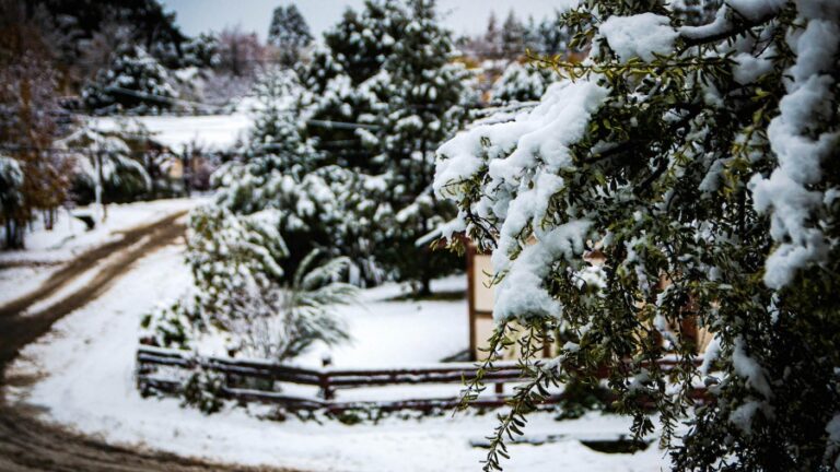 Alertas amarillas por nevadas en la zona cordillerana