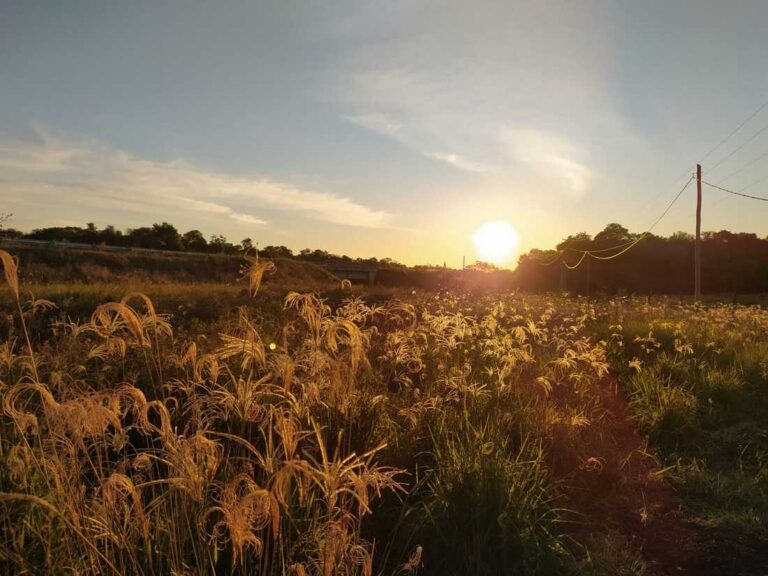 El Tiempo: se vienen jornadas a pleno sol y temperaturas agradables.