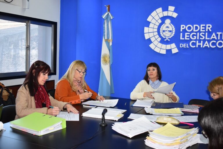 Mariela Quirós: “Trabajamos por una Ley que nos ayude