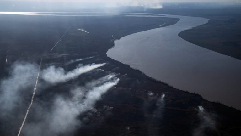 Delta del Paraná