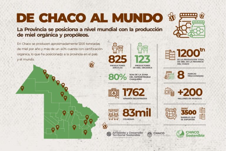 APIMONDIA: EL CHACO MOSTRÓ DESDE ESTAMBUL