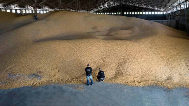 La Aduana detectó «cerealeras truchas» que no ingresaron divisas al país