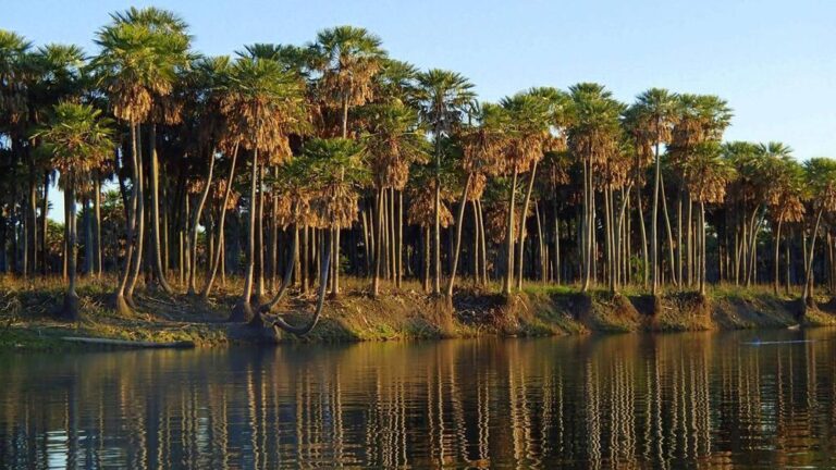 PREMIO ANUAL A LA ACCIÓN AMBIENTAL