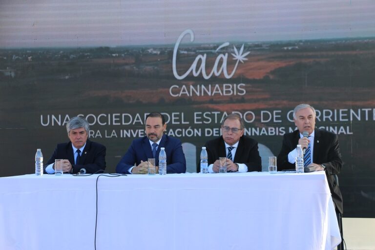 Se lanzó el proyecto «Caá Cannabis» que tiene a la UNNE