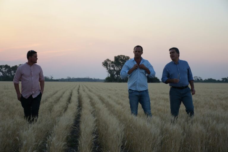 CAPITANICH RECORRIÓ UN CAMPO DE TRIGO