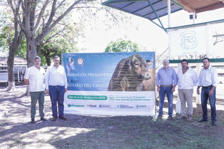 MÁS DE 230 ANIMALES INSCRIPTOS EN GENERAL SAN MARTÍN