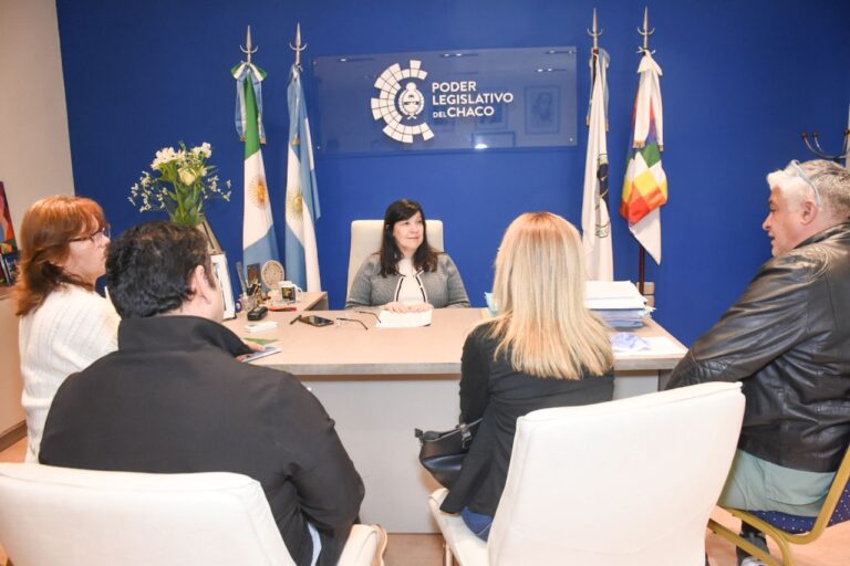 Elida Cuesta recibió al Colegio de Enfermeros del Chaco