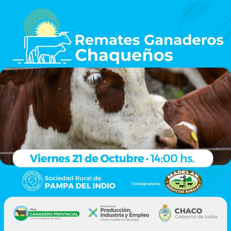 PAMPA DEL INDIO SERÁ SEDE DEL 13° REMATE GANADERO