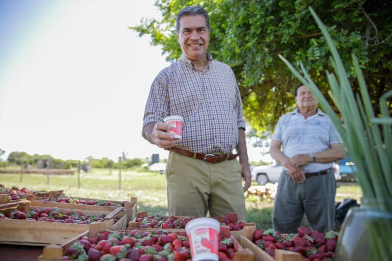 CAPITANICH RECORRIÓ UN CAMPO DE FRUTILLAS EN LA EDUVIGIS