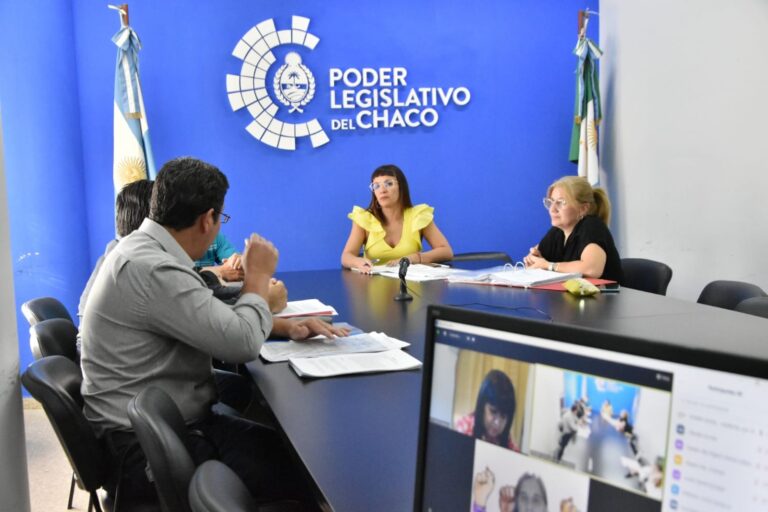 Legisladoras recibieron a la Asociación Chaqueña de Bibliotecarios