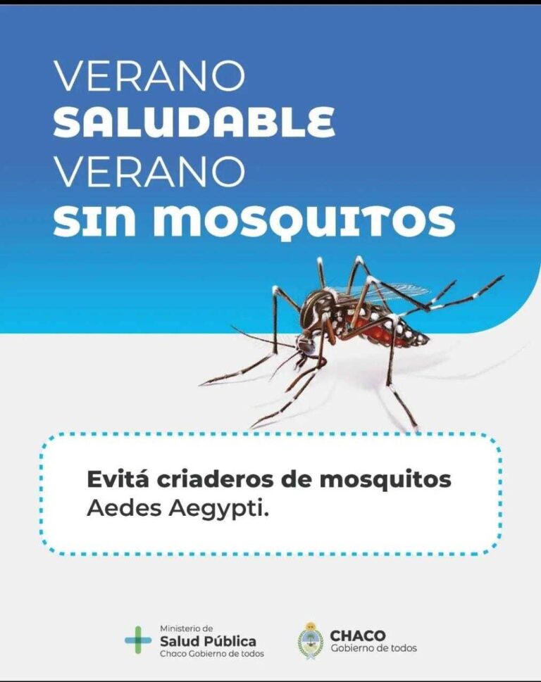 Un verano sin mosquitos: la prevención comienza en casa