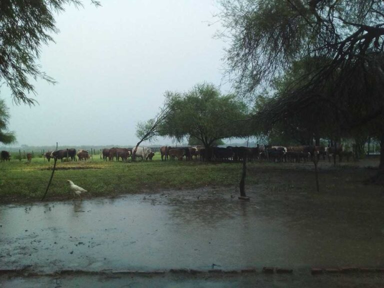 Sigue lloviendo en algunas zonas