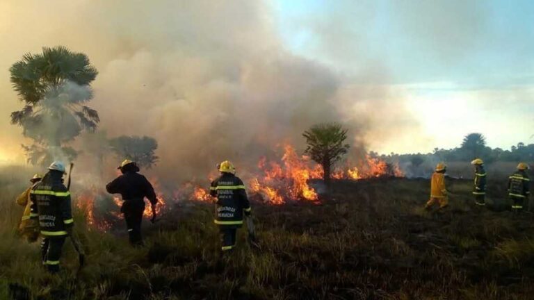 Corrientes es una de las seis provincias registran