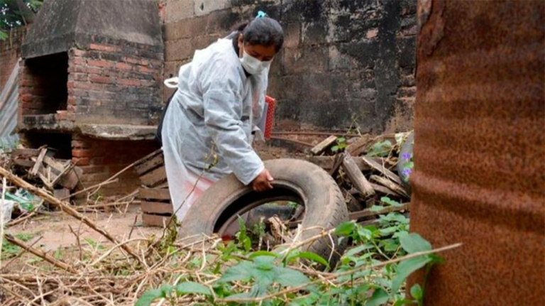 Una mujer con comorbilidades murió tras infectarse de dengue en Jujuy