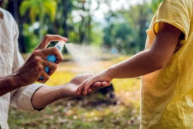 Salud Pública: Chaco detectó 218 casos de Dengue en el último día