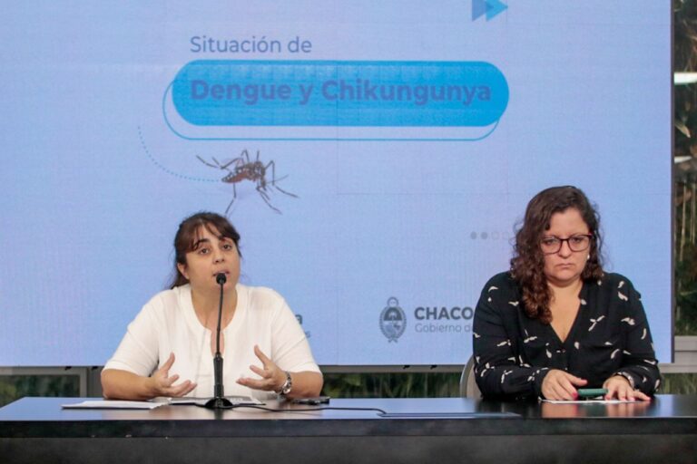 DENGUE Y CHIKUNGUNYA