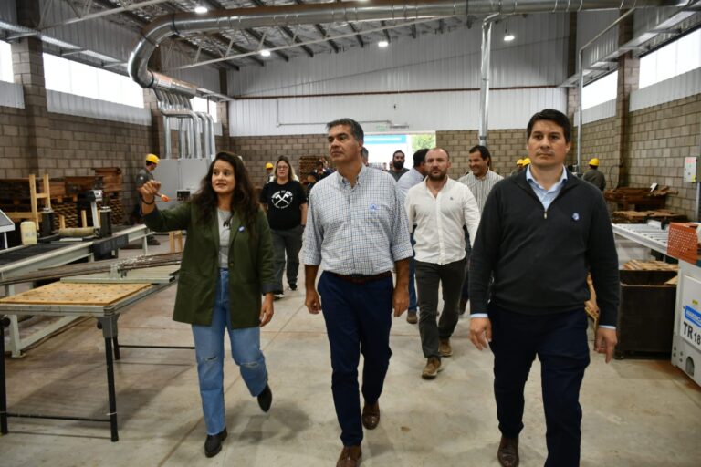 CAPITANICH ANUNCIÓ INVERSIONES EN MAQUINARIAS