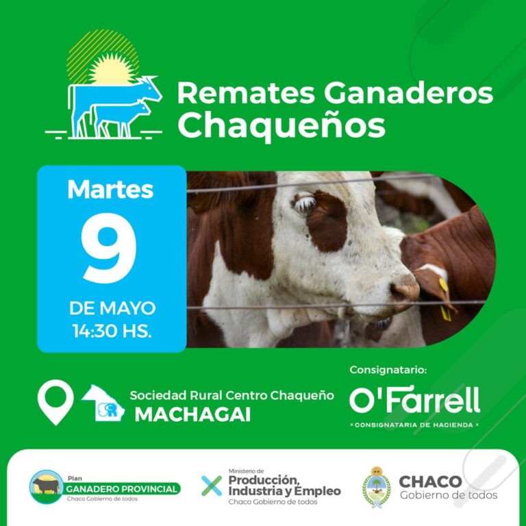 MACHAGAI RECIBE ESTE MARTES EL SÉPTIMO REMATE GANADERO