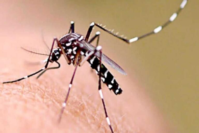 SALUD PÚBLICA BRINDA EL PARTE EPIDEMIOLÓGICO DE DENGUE