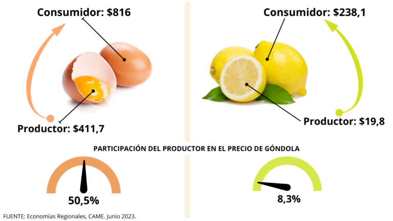 Informe de CAME