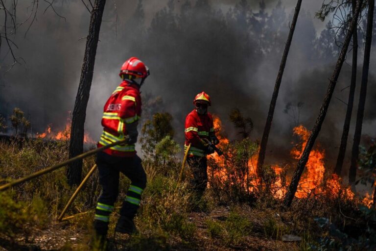 Un incendio forestal ya dejó 11 heridos