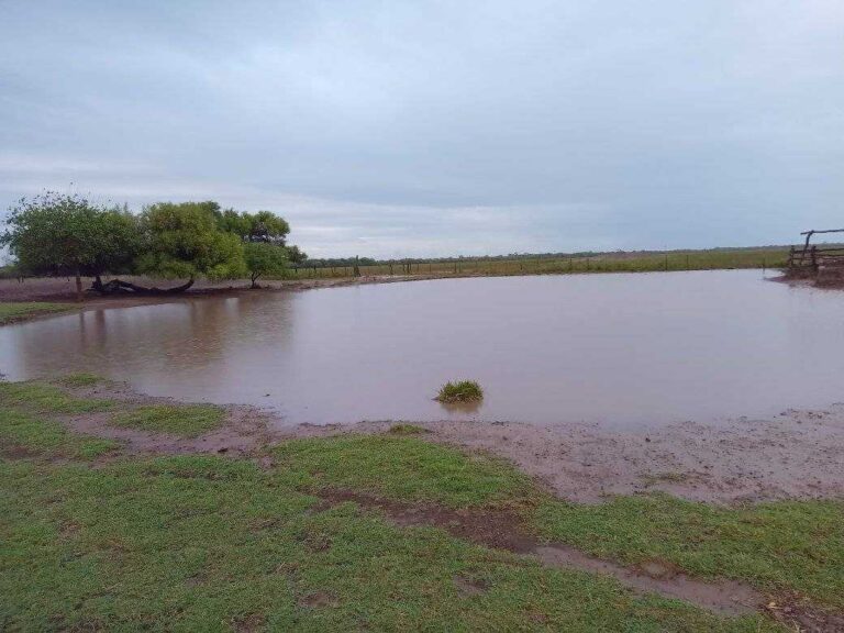 Toda la provincia recibió precipitaciones