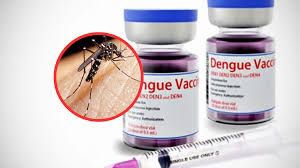 Dengue: proyecto legislativo solicita al gobierno gestiones