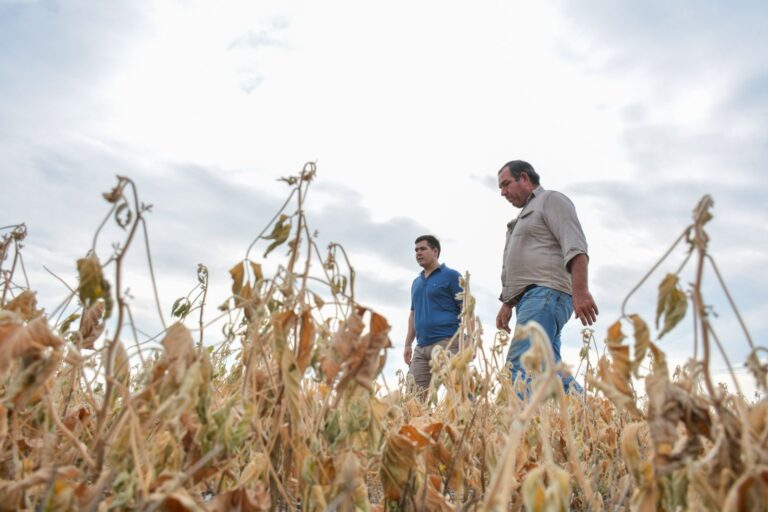 ALTAS TEMPERATURAS: HALAVACS RECORRIÓ LAS ZONAS MÁS AFECTADAS