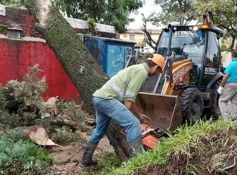 Intensa labor municipal para despejar calles de árboles caídos en el temporal