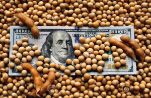 Vuelven las retenciones: en sólo tres días se agotó el cupo de USD 7.000 millones de liquidación al 0%