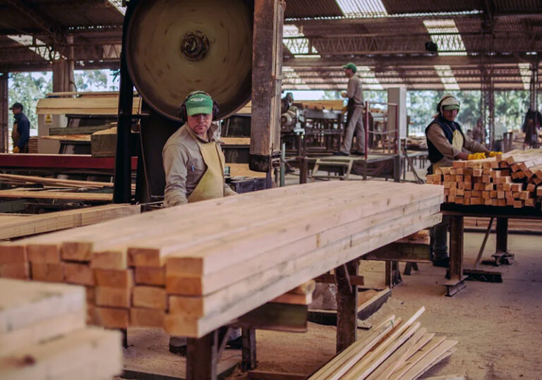 Caída del consumo amenaza a la industria maderera