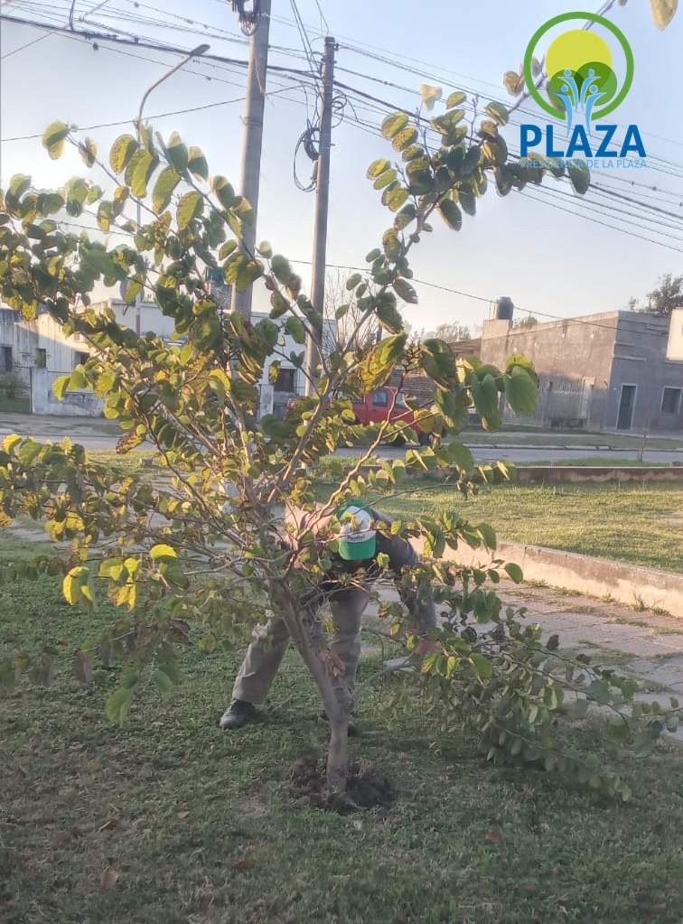 MUNICIPALIDAD DE PRESIDENCIA DE LA PLAZA