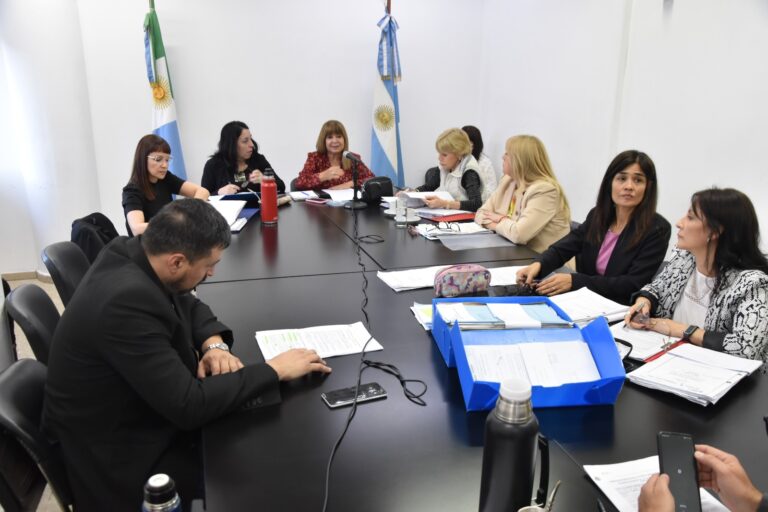 La comisión de Educación analizó iniciativa para crear el programa “Libros para Ser Libres”