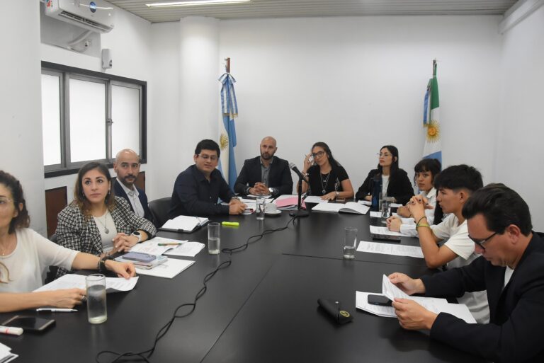 Primera Reunión de la Comisión de Asuntos Generales del Parlamento Juvenil