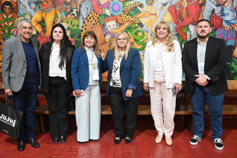 Legisladores chaqueños trabajan en comisiones desde Jujuy de cara a la 54º Sesión Plenaria del Parlamento del Norte Grande