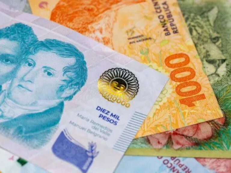 El peso argentino fue la moneda que más se apreció en el mundo durante 2024