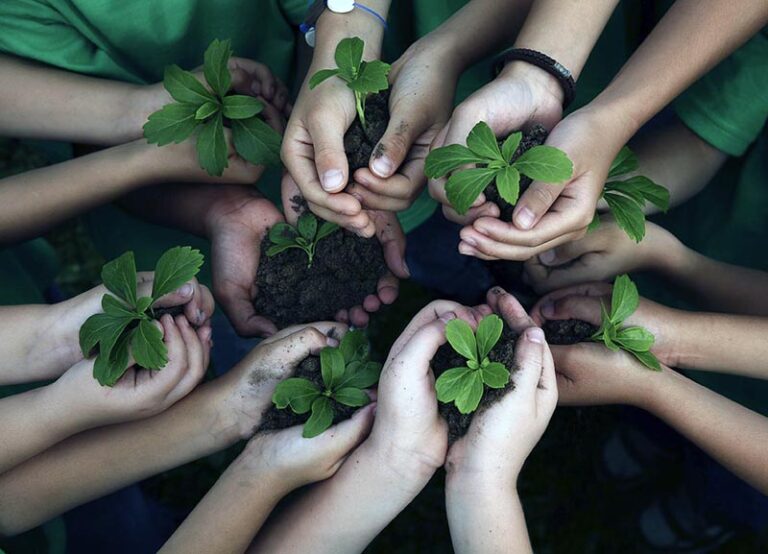 26 de enero: Día Mundial de la Educación Ambiental